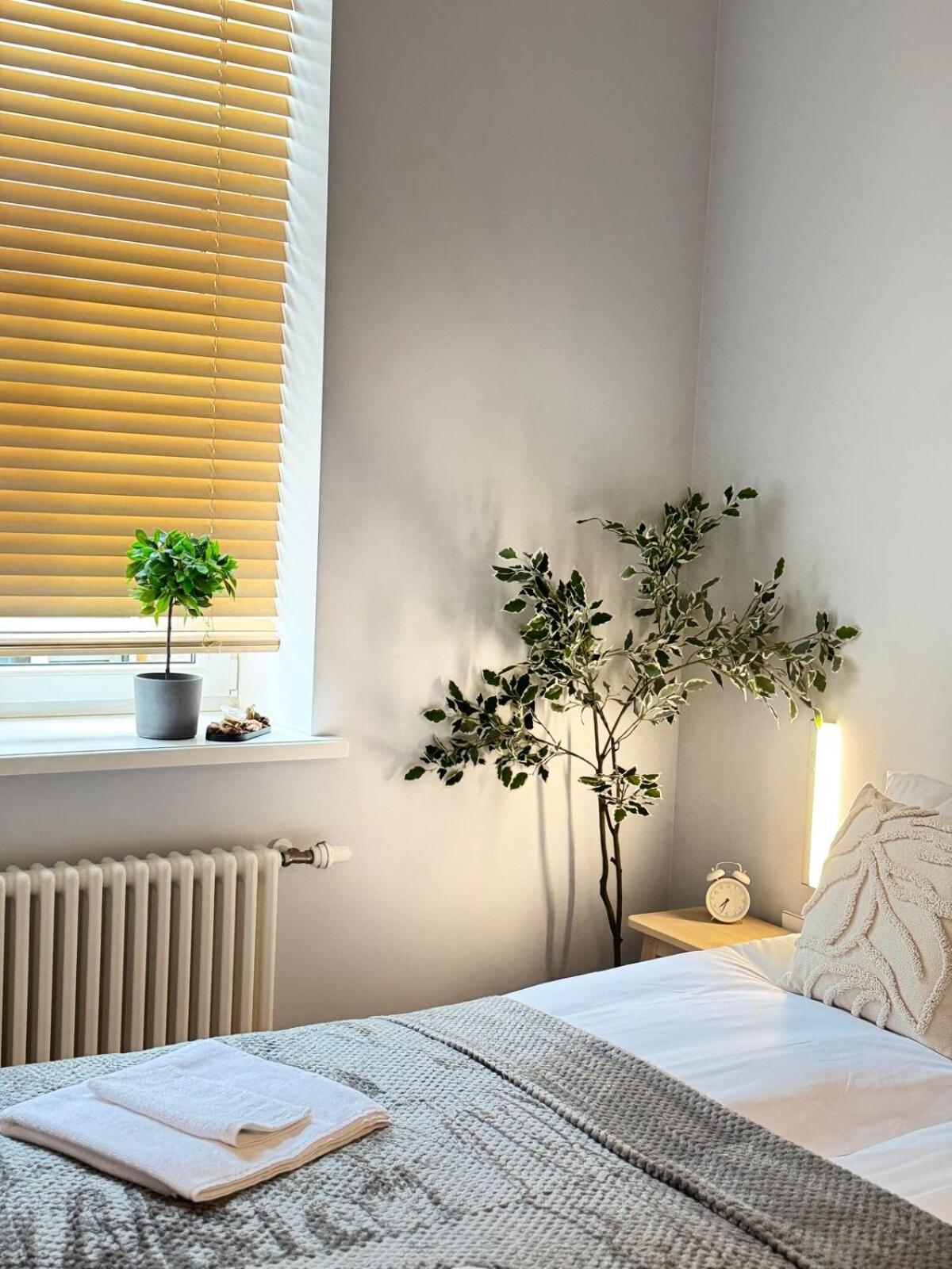 Courtyard Kalnina Apartment Ryga Zewnętrze zdjęcie